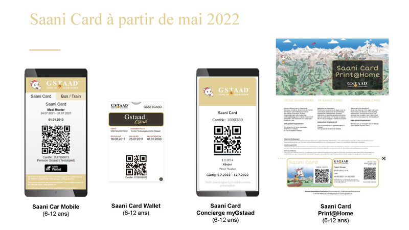 Saani Card