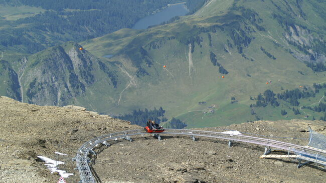 Summer Tobogganing