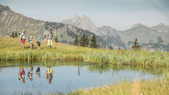 : Family of four looking at their reflection in the lake on the Wispile.