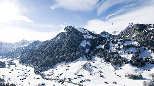 Vols en parapente