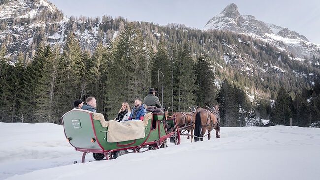 Carriage Rides